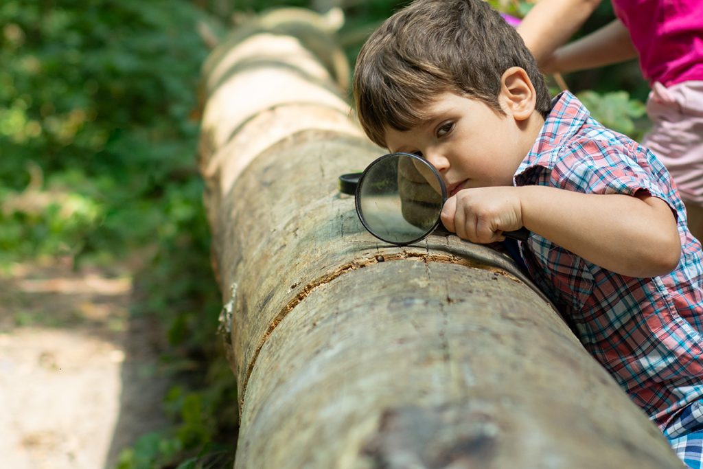 Indigenous Child Care